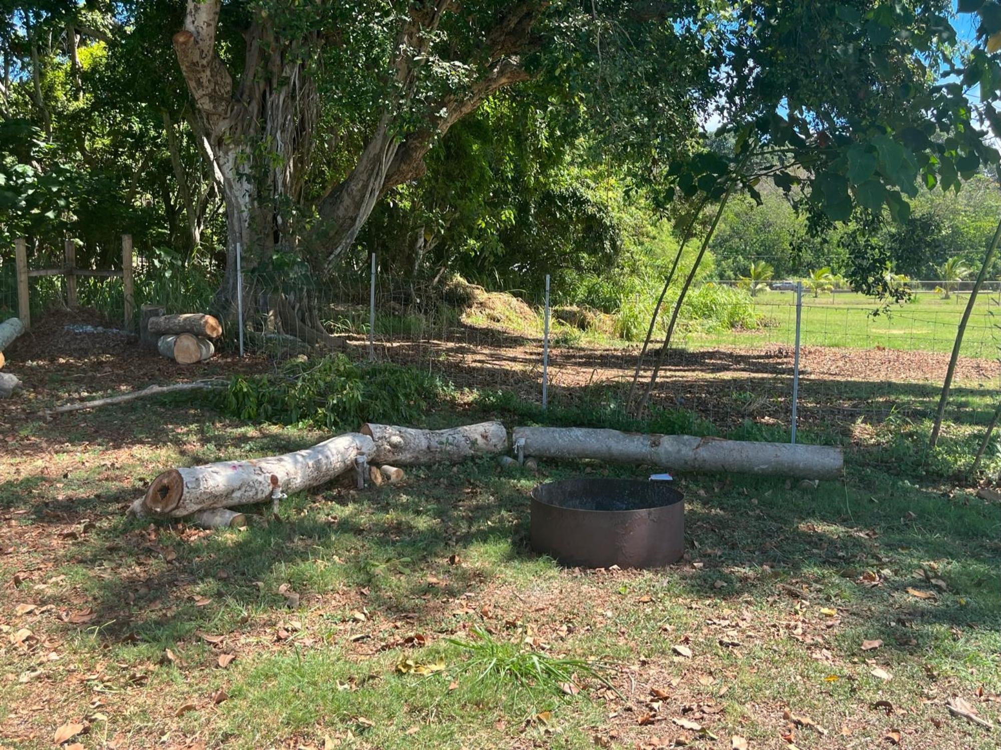 North Shore Glamping Camping Laie, Oahu, Hawaii Exterior foto